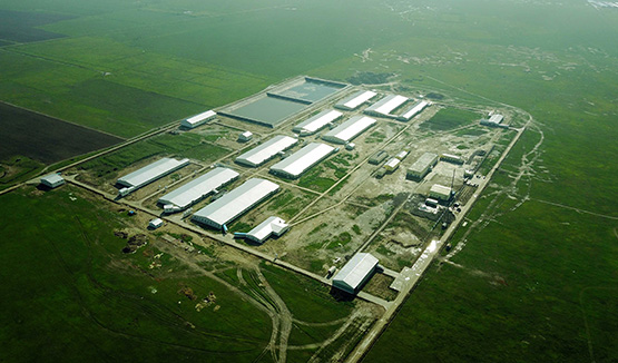 ����������